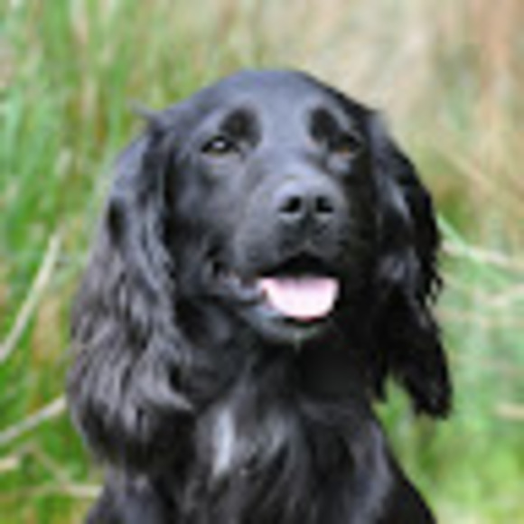 Profile Picture of Shannon Goerig (@goerigs) on Poshmark