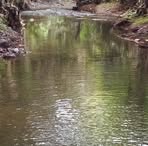 Profile Picture of Richard Hains (@richard.hains.966608) on Facebook