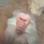 Profile Picture of Lucas Trahan (@Lucas-Trahan) on Facebook