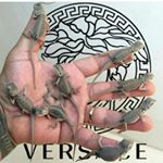 Profile Picture of ❶ ᴏʀɪɢɪɴᴀʟ ɢʀᴏᴜᴘ 🇺🇸 ❶ (@coxr.gr_1_) on Instagram