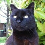 Profile Picture of Pete Simms (@pjs2506) on Instagram