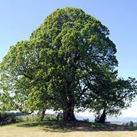 Profile Picture of David Krenn (@david-krenn) on Quora