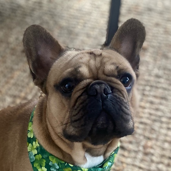 Profile Picture of Joe Gieringer (@jgier) on Poshmark