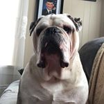 Profile Picture of Jacob Shipman (@jacobshipman7) on Instagram