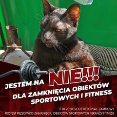 Adam Karolak - Tiktok Profile Picture of Adam Karolak (@adamkarolak3) on Tiktok