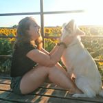 Profile Picture of Carly Hansen (@carlyjo_h) on Instagram