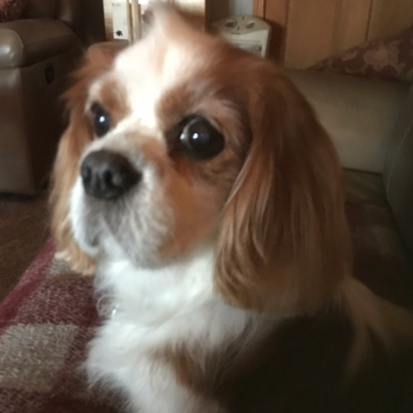 Profile Picture of Joann Eichert (@jeichert1950) on Poshmark