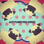 Profile Picture of Michael Barker (@just.funny.dog.videos) on Instagram