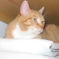 Profile Picture of Lynn Fatica (@lynn-fatica-2) on Quora