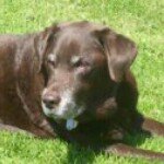 Cheryl Alberti - Instagram Profile Picture of Cheryl Alberti (@calberti517) on Instagram