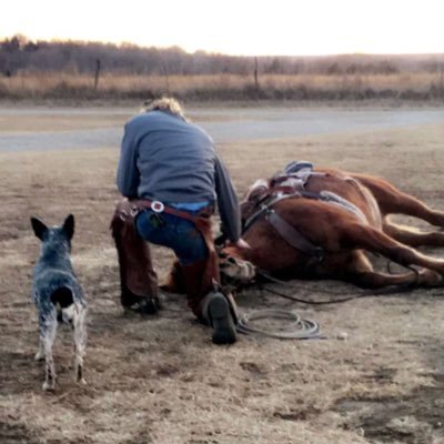 Profile Picture of John Heinen (@john_heinenjph) on Twitter