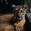Profile Picture of DougGlenn7766 (@@dougglenn7766) on Tiktok