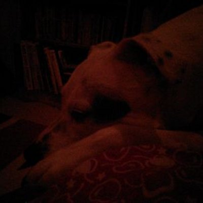 Profile Picture of Dillon Read (@dillonread4) on Twitter