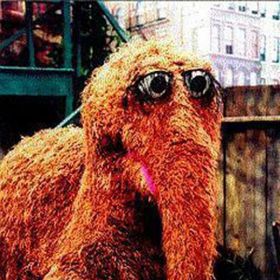 Profile Picture of Carrie Matthews (@carriematthews) on Pinterest