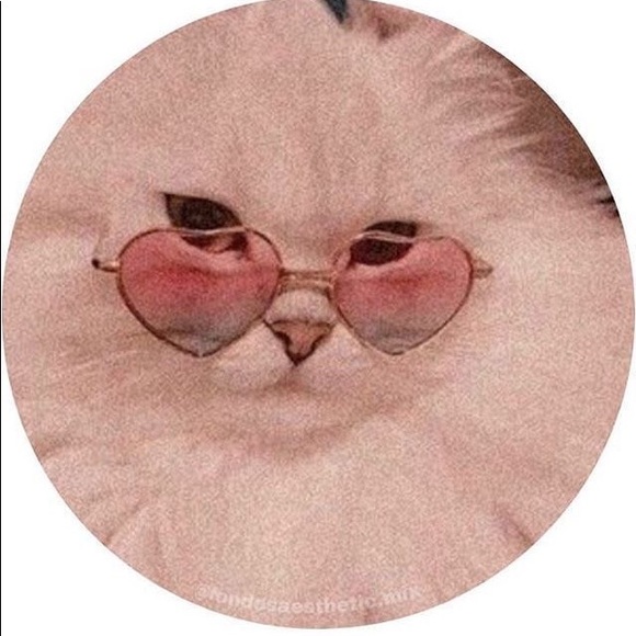 Profile Picture of Lydia Fowler (@lydiafowler997) on Poshmark