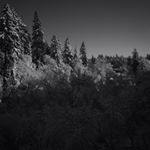 Profile Picture of Damian Wall (@damianwall) on Instagram