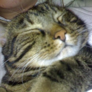 Profile Picture of Annabelle Gabriel (@nabullette) on Myspace