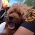 Profile Picture of Nicolas Kopczewski (@nicolas.kopczewski.5) on Facebook