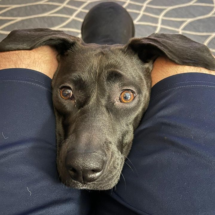 Profile Picture of Jason G (@jasgal4344) on Tiktok