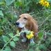 Profile Picture of Jan Bogle (@jfsb19) on Pinterest