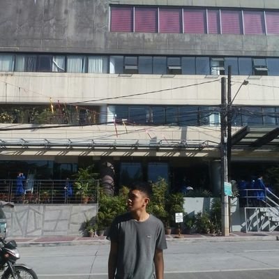Profile Picture of Robin Chavez (@RobinCh62161544) on Twitter