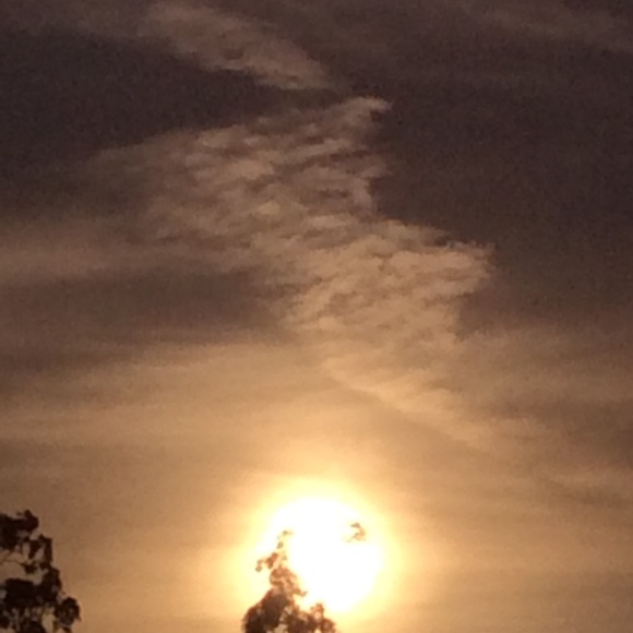 Profile Picture of Dylanie Heathman (@dylanieh) on Poshmark