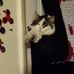 Profile Picture of David Tingey (Day ya) (@david.tingey.71) on Facebook
