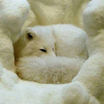 Profile Picture of Steve Barratt (@Stevebarratt123) on Twitter