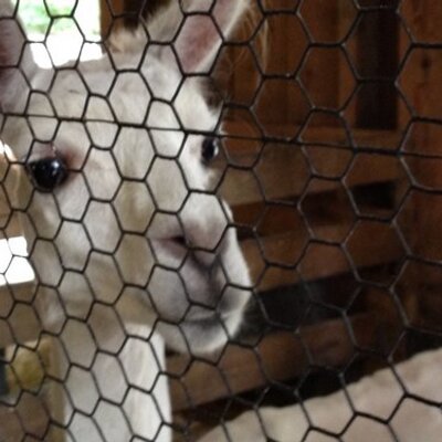 Profile Picture of Michael Mascaro (@mascar00123) on Twitter