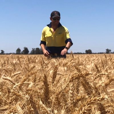 Profile Picture of James Whiteley (@JamespWhiteley) on Twitter