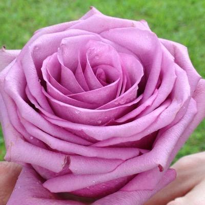 Profile Picture of Mandy (@mandytouchstone) on Twitter