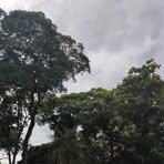 Profile Picture of Mateus Bergamin Sobral (@mateus.bergaminsobral) on Facebook