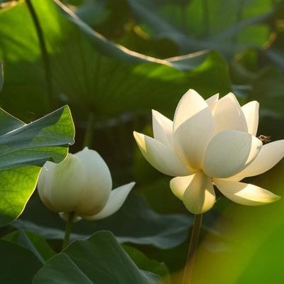 Profile Picture of Osman (@Jon43462953) on Twitter