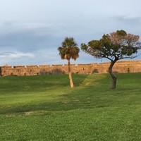 Profile Picture of Libby Wheeler (@libby-wheeler-5) on Quora