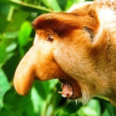 Jay Doody - Twitter Profile Picture of Jay Doody (@UltraVioletJay) on Twitter