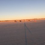 Profile Picture of Misty Carey (thorn) (@misty26510) on Instagram