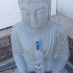 Profile Picture of Italian stallion🇮🇹🗣 (@milici.michael) on Instagram