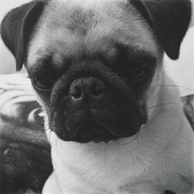 Profile Picture of Danielle Noble (@daniellenoble58) on Pinterest