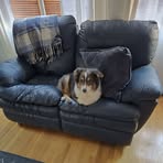 Profile Picture of Jean Obrien (@jean.obrien.3785) on Facebook