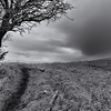 Profile Picture of Graeme Heddle (@graemeheddle1) on Flickr