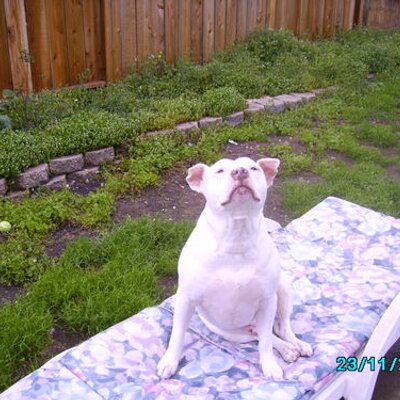 Profile Picture of Jerry Bruno (@38jr) on Twitter