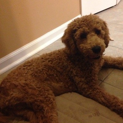 Profile Picture of Zachary Chauvin (@quaddad16) on Twitter