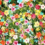 Profile Picture of Bianca🌹 (@bianca_van_rhyn) on Instagram