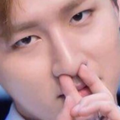 🐝 ⤑𝖣𝗒𝗅𝖺𝗇| STREAM WINTER BEAR. - Twitter Profile Picture of  🐝 ⤑𝖣𝗒𝗅𝖺𝗇| STREAM WINTER BEAR. (@Dylanencrisis) on Twitter