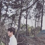 Profile Picture of Vũ Phan (@vuphan1273) on Instagram