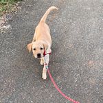 Profile Picture of Sankar Narayanan Lkd (@m_sankar_7) on Instagram