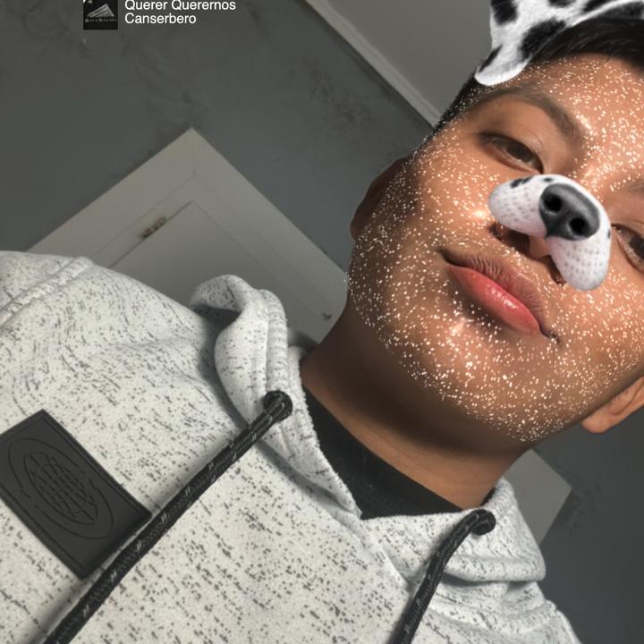 Profile Picture of Francis López 8115 (@francislopez811) on Tiktok