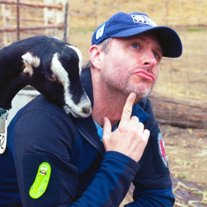 Profile Picture of Hardwick (@hardwick) on Tiktok