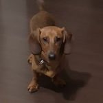 tofik.vel.tofson - Instagram Profile Picture of tofik.vel.tofson (@tofik.vel.tofson) on Instagram