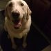 Profile Picture of Mark Matousek (@mark.matousek.54) on Facebook